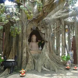 Meet your Posher, Tramtran